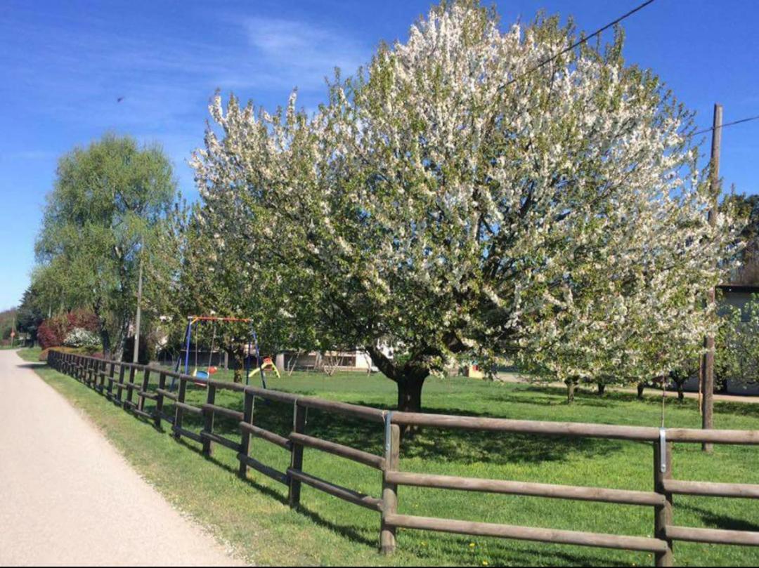 Azienda Agrituristica Scotti Сомма-Ломбардо Екстер'єр фото